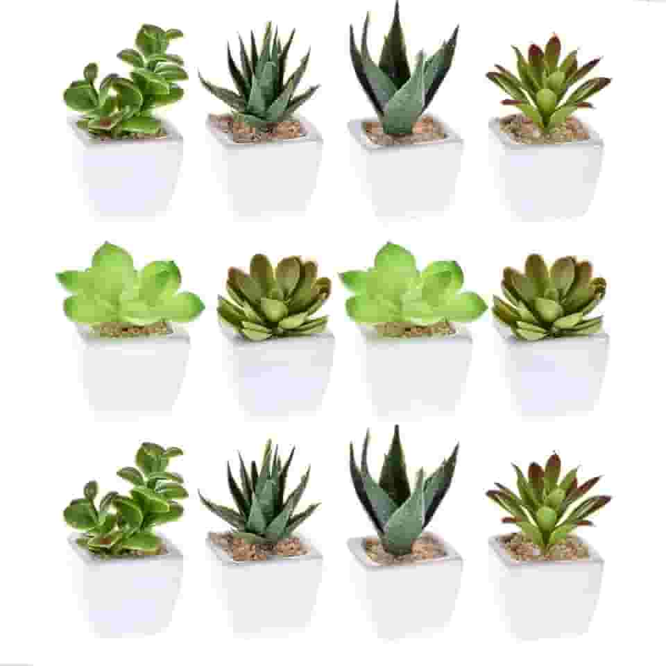 Kit 12 Vasos Decorativo Suculentas Artificiais Sortidas