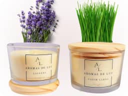 Kit 2 Velas Aromáticas Lavanda E Capim Limão 100gr Aromas de Luz
