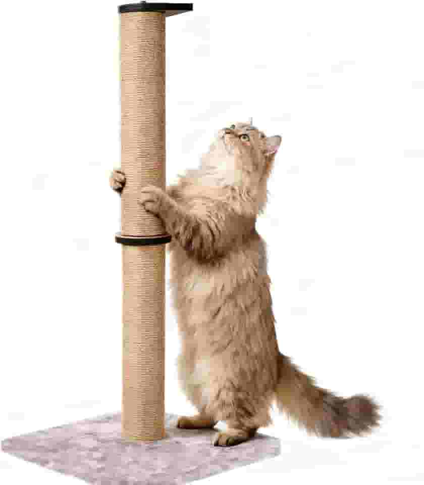 Postes de arranhar gatos de 83,8 cm de altura para gatos em ambientes internos, arranhador de gato com sisal natural, arranhador grande para gatos com almofada de pelúcia, lindo poste vertical