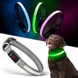 Coleira de cachorro iluminada, recarregável por USB, coleira de cachorro multicolorida, para caminhadas noturnas, coleira que brilha no escuro para gatos e cachorros, segurança noturna (grande)