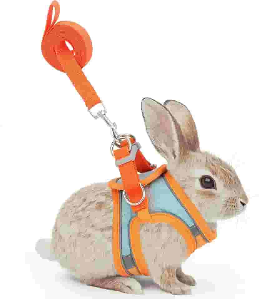 Filhome Conjunto de arnês e coleira de coelho ajustável, fivela dupla com tiras refletivas, colete respirável para gatinho, furão, porco, filhote, animais pequenos, acessórios de caminhada