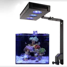 Lâmpada LED Reef para Aquário 22W, Luz Coral para Aquário