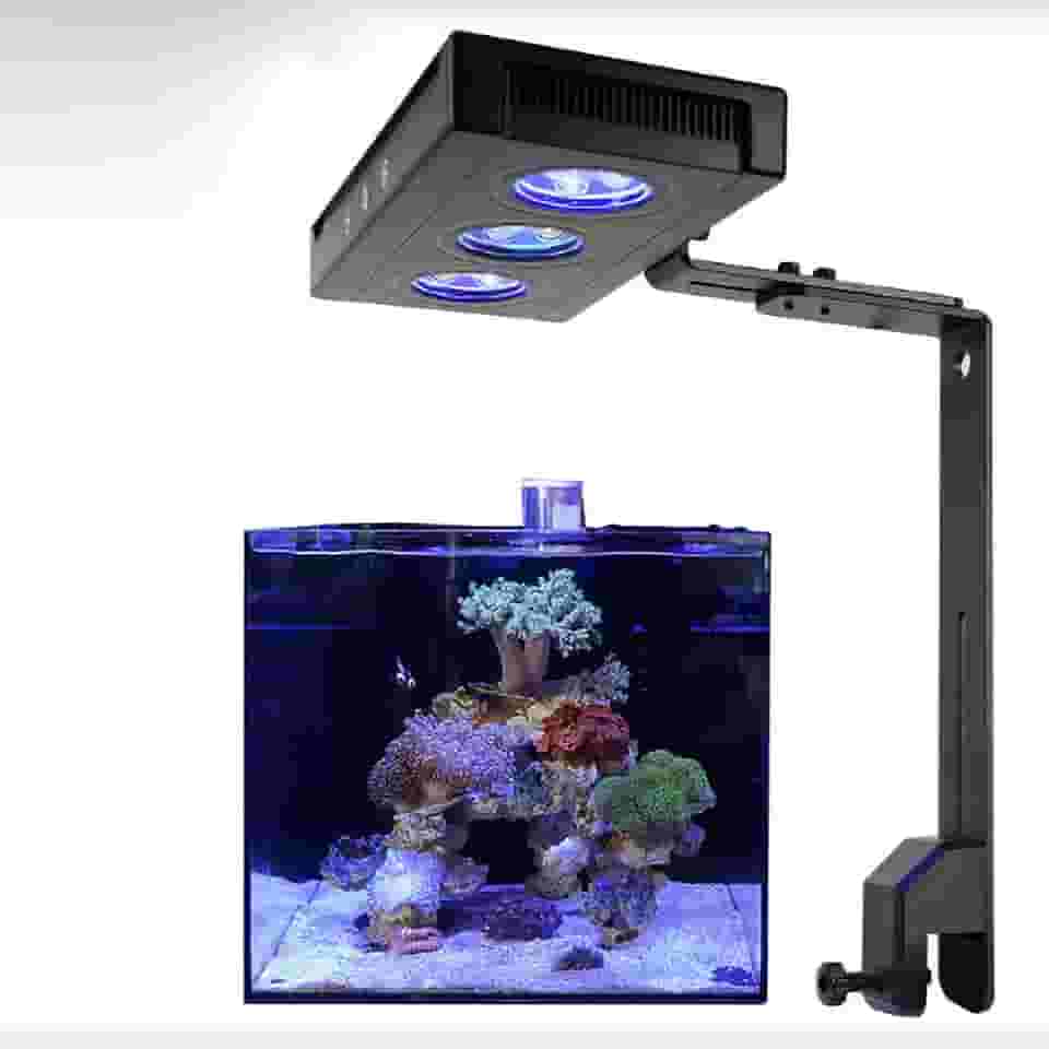 Lâmpada LED Reef para Aquário 22W, Luz Coral para Aquário