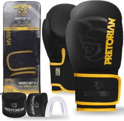Luva de Boxe e Muay Thai FX2 Pretorian + Protetor Bucal + Bandagem 2.8M