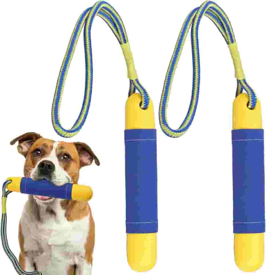 Brinquedos de piscina para cães flutuam na água, brinquedo interativo para treinamento, recuperação, para-choque, quintal, verão, pacote com 2