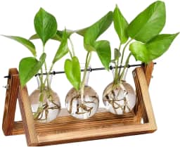 Vaso de Vidro Decorativo de mesa, Com Suporte de Madeira e Metal, c/ 3 Vasos de Vidro Redondo, Decoração para Escritório, Cozinha, Sala, Decorativo Minimalista