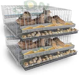 Kit 2 Gaiola Codorna Poedeira Viveiro Japonesa Bateria Até 20 Aves