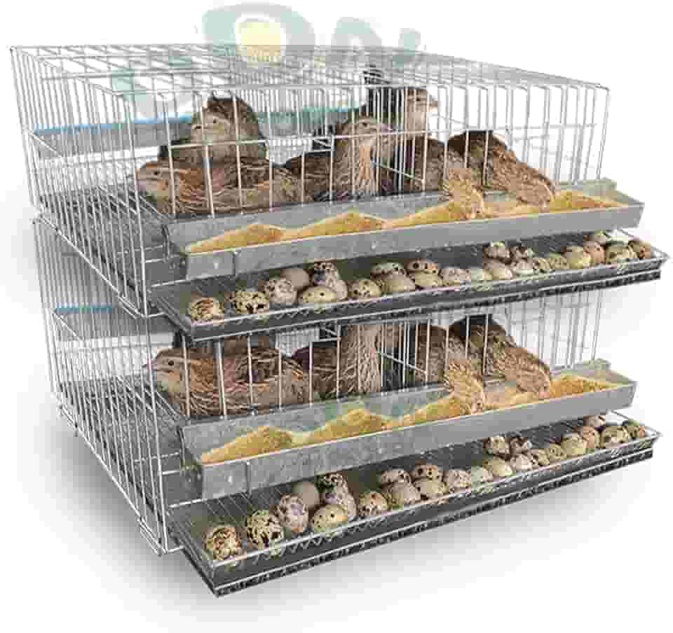 Kit 2 Gaiola Codorna Poedeira Viveiro Japonesa Bateria Até 20 Aves