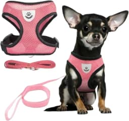 Coleira Peitoral Anti Puxão com Guia para Cães e Gatos – Ideal para Filhotes, Pinscher, Shi Tzu e Raças de Porte Pequeno a Médio – NEXUS MARKET (M, ROSA)