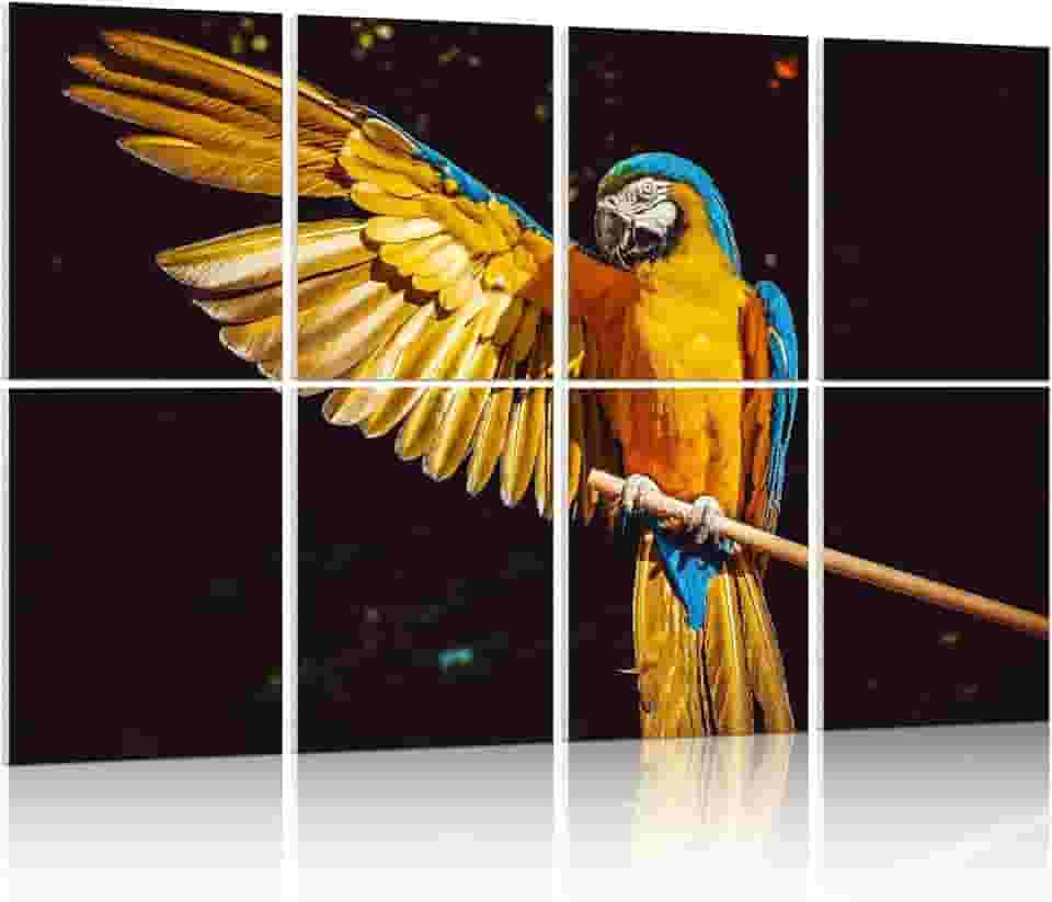 YPY Painéis acústicos painéis de parede à prova de som: painéis à prova de som de arte de parede com absorção de som, estúdio de gravação, tratamentos acústicos para home office, pacote com 8 122 x 81