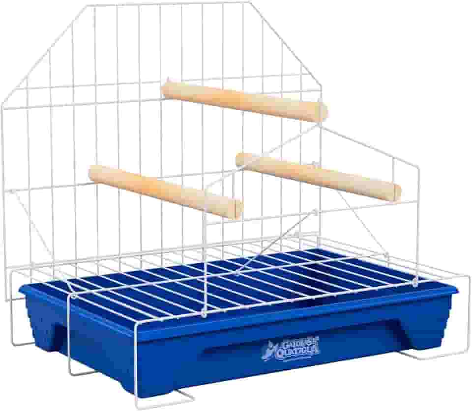 Poleiro para Calopsita Playground com Bandeja Plástica (Azul)