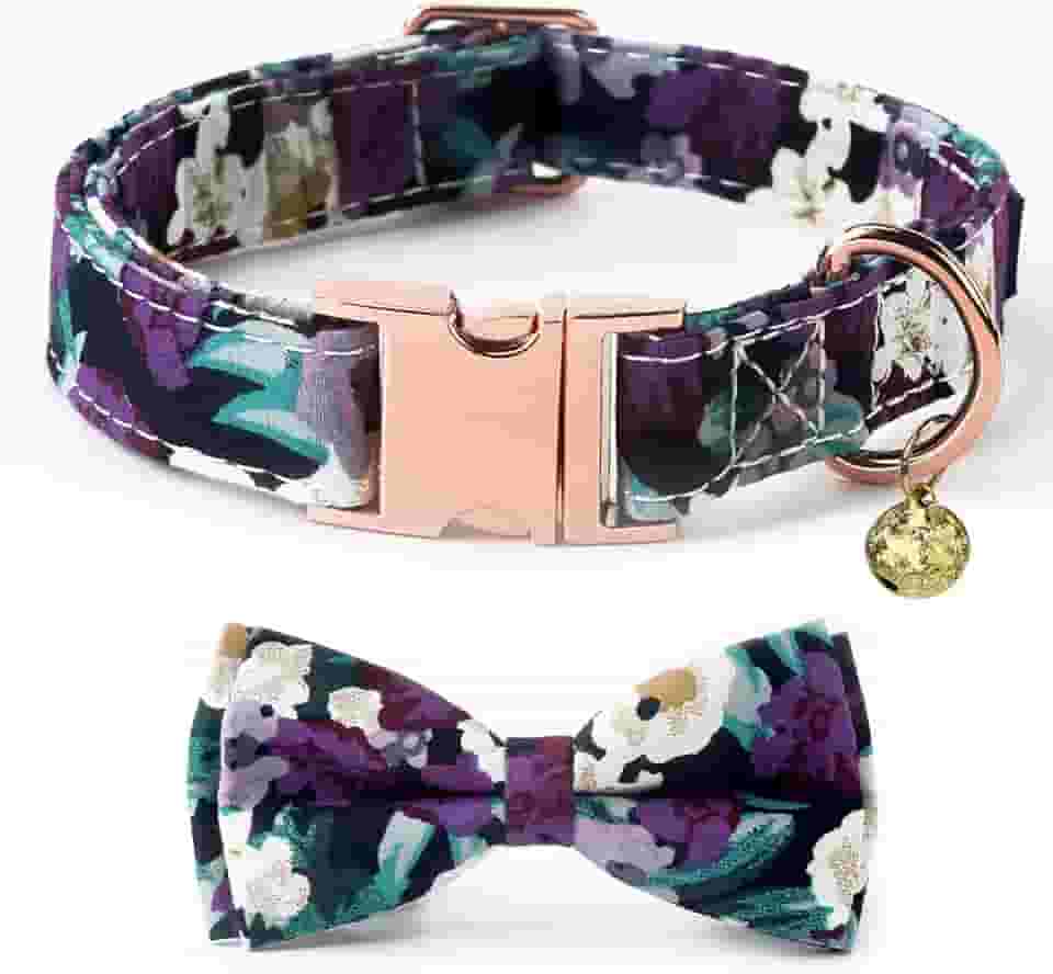 NISIYE Coleira de cachorro premium, coleiras fofas com gravata borboleta, coleiras duráveis para animais de estimação com fivela de metal para cães pequenos