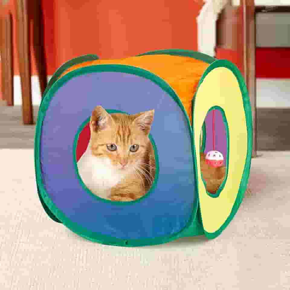 Kitty City Safari Cubee – Cubo de gato, canil, cama, casa na selva e túnel com bola de brincar