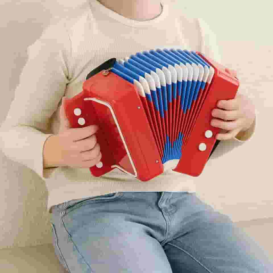 SANFONA INFANTIL MINI ESTILO PROFISSIONAL VERMELHO