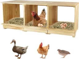 Caixas de nidificação para galinhas, 3 compartimentos, caixas de nidificação de galinhas, caixa de ninho para galinheiro, uso versátil, caixas de nidificação de madeira para galinhas, fáceis de montar