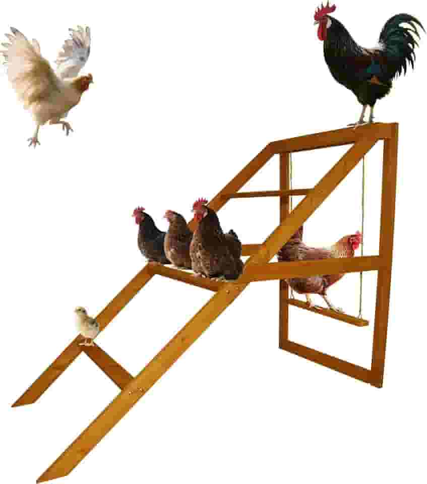 Poleiros de galinha para galinheiro com balanço: barras de cobertura para acessórios de galinheiro - brinquedo de acessórios de corrida de galinha, escada de madeira para animais de estimação, ideal