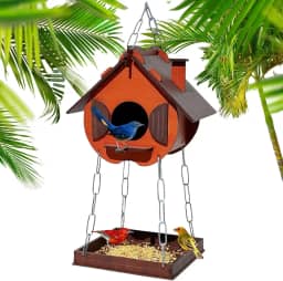 Comedouro Tratador Pássaros Livres Casinha De Passarinho Mdf