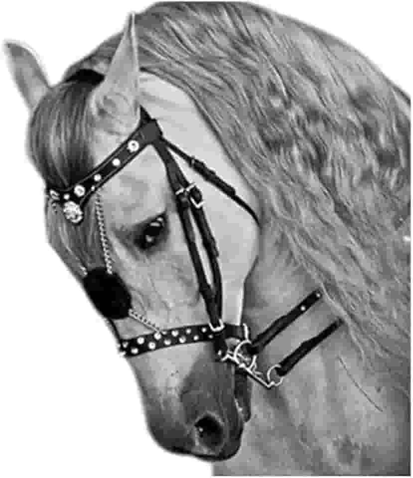 Freio De Cavalo Com Rédea - Freio De Cavalo Equestre - Freio De Cavalo Ajustável Gola De Cabeça Acessórios Equestre Cabresto De Cavalo Acessórios De Sela Freios Para Cavalos,Collector88