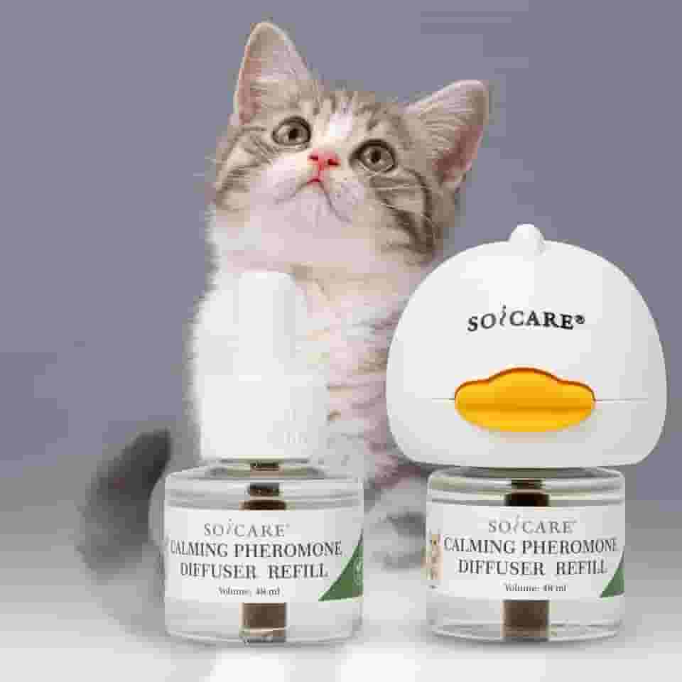 SOICARE Difusor calmante de feromônios para gatos, difusor calmante para alívio da ansiedade do gato, difusor de feromônios para acalmar vários gatos, kit básico (1 difusor e 2 refis de 48 ml) para 50