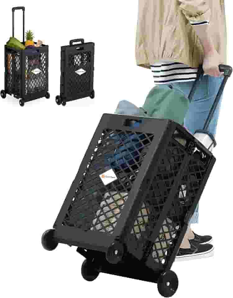 Carrinho Compras Feira Cesta Dobrável C/ 4 Rodinhas 25Kg 60L