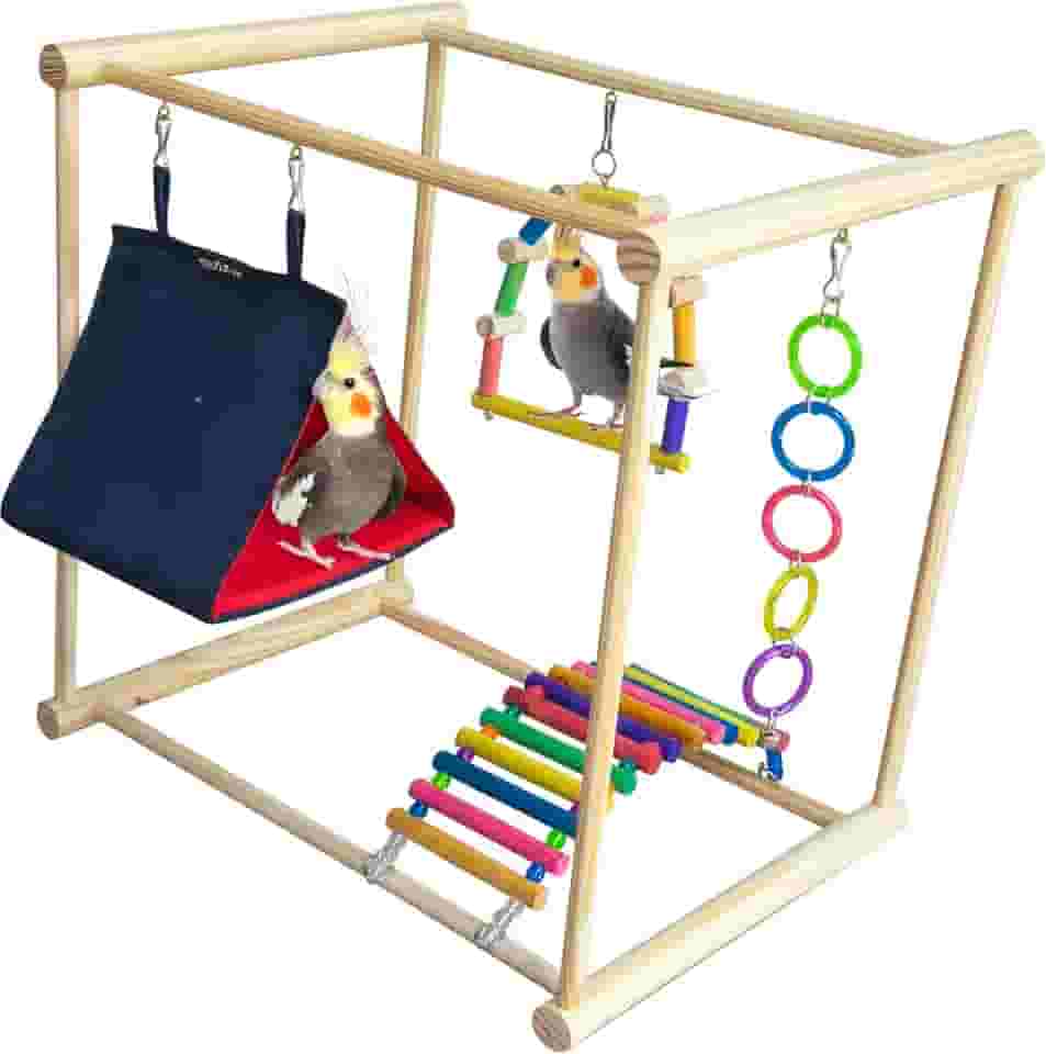 Playground com Casinha E Brinquedos Para Calopsita