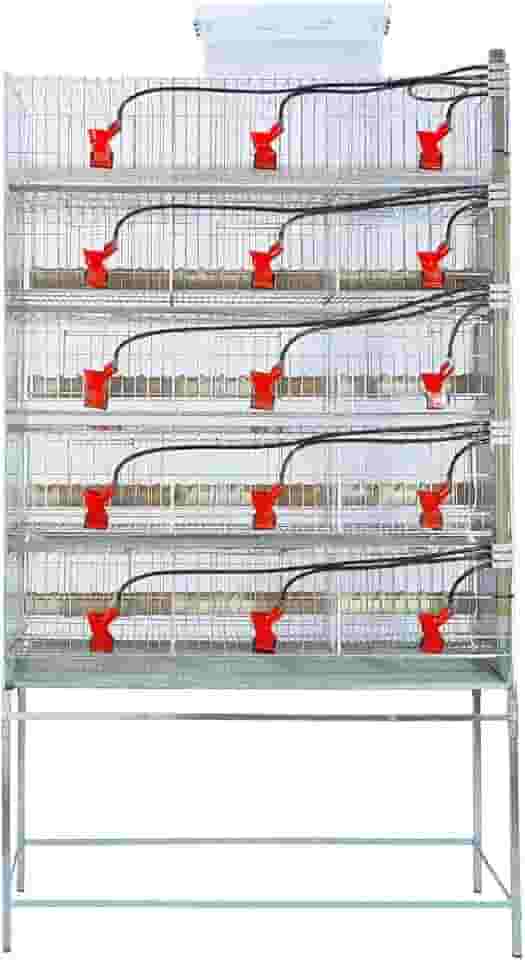5 Gaiola para codorna ou codornão bebedouro automático copinho - Gaia