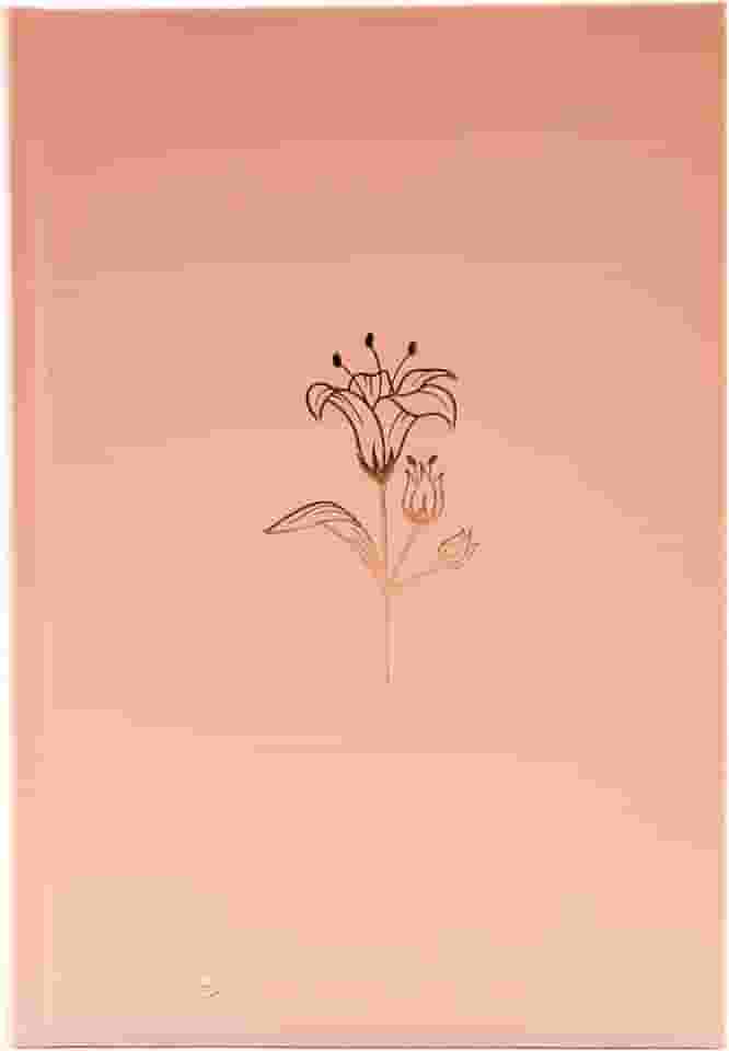 Bíblia NTLH, Rose Tan, Capa Dura: Nova Tradução na Linguagem de Hoje (NTLH)