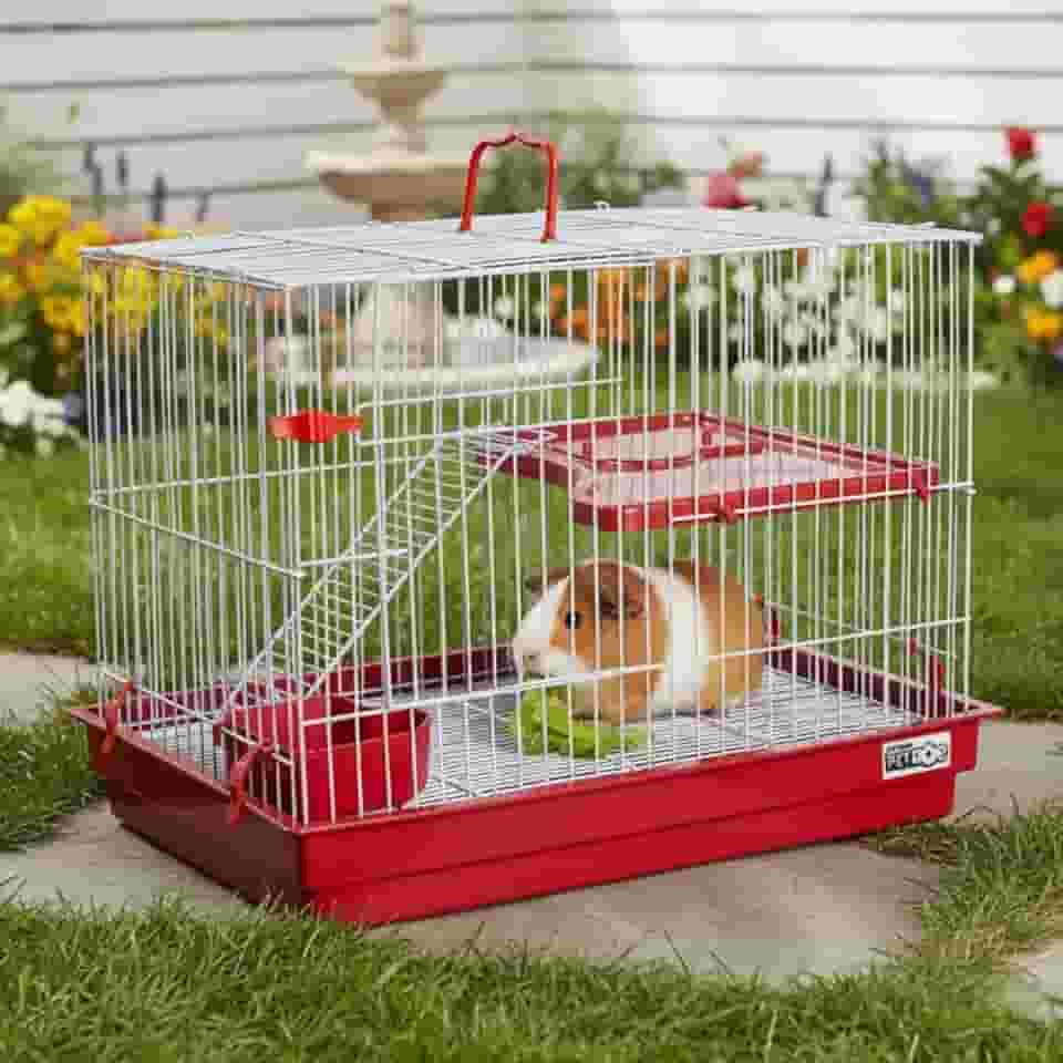 Gaiola para Roedores com Andar Elevado, Escada Aramada, Bandeja Higiênica, Ideal para Coelho, Porquinho da Índia, Chinchila, Vermelho