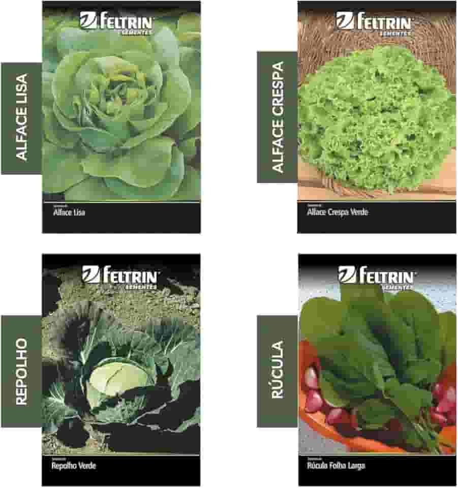 Kit 4 Sementes Hortaliças Salada Horta Em Casa Jardins Vasos(Alface Crespa, Alface Lisa, Repolho, Rúcula)