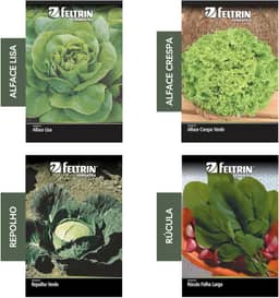 Kit 4 Sementes Hortaliças Salada Horta Em Casa Jardins Vasos(Alface Crespa, Alface Lisa, Repolho, Rúcula)