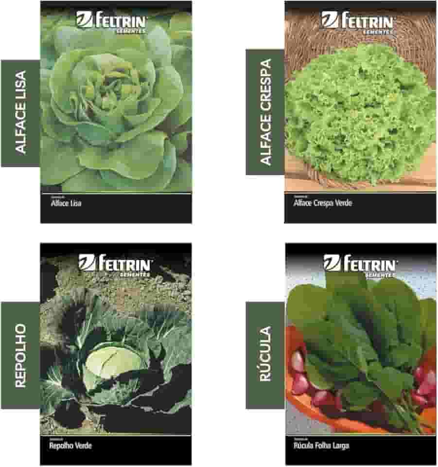 Kit 4 Sementes Hortaliças Salada Horta Em Casa Jardins Vasos(Alface Crespa, Alface Lisa, Repolho, Rúcula)