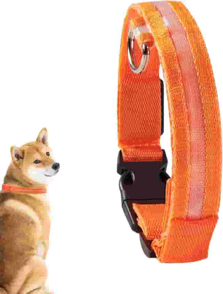 Colar LED | Coleiras brilhantes para cães | Luz LED piscante recarregável para coleira de cachorro, coleira iluminada para filhotes, cães pequenos, médios e animais de estimação