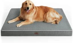 Cama ortopédica para cães, tamanho extra grande, 2GG, cama de pelúcia lavável e à prova d'água, para cães grandes, tapete de espuma para animais de estimação com capa removível