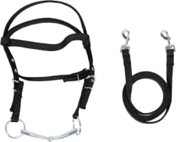 Rédea de Freio de Cavalo, Cabeça de Cavalo Ajustável Elegante de Nylon Com Rédeas, Freio de Sobrancelha, Freio de Adestramento para Passeios Em Trilha, Suprimentos Equinos