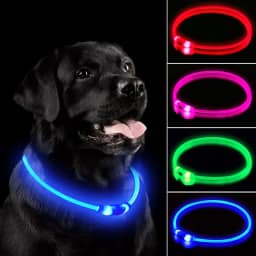 NOVKIN Coleira de cachorro de LED, coleira recarregável para cães, luzes IP67 à prova d'água para caminhadas noturnas, ajustável, reutilizável para cães pequenos, médios e grandes (azul)