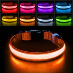 PcEoTllar Coleira de cachorro iluminada, coleira de cachorro de LED recarregável resistente à água coleira de cachorro luz de 7 cores que mudam de cachorro luzes para passeios noturnos coleira de cachorro piscando para cães P/M/G, laranja-G