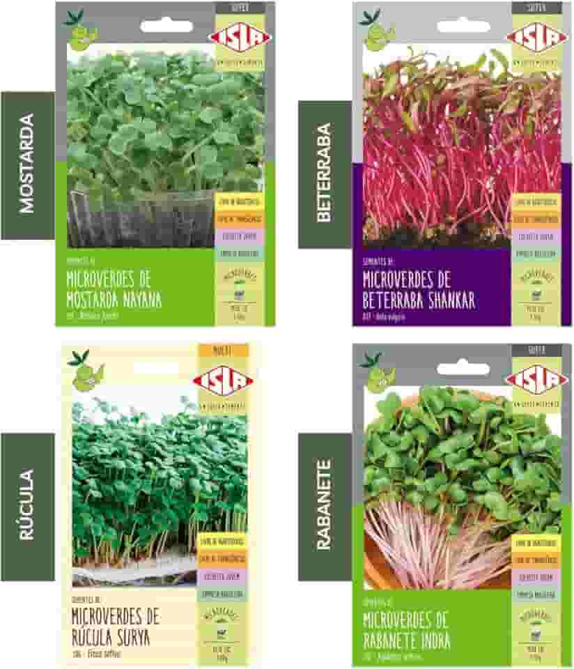 Kit 4 Sementes Microverdes Horta Em Casa Jardins Vasos (Mostarda, Beterraba, Rabanete, Rúcula)