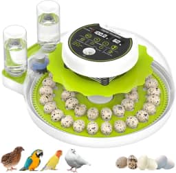 Incubadora de ovos de codorna para incubação com rotação automática de ovos e controle de umidade, 40 ovos de grande capacidade, chocadeira de codorna, também para papagaio, pomba, canário e outras