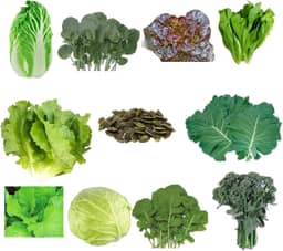 Kit 220 Sementes de Hortaliças e Ervas, 10 Variedades, para Horta Caseira