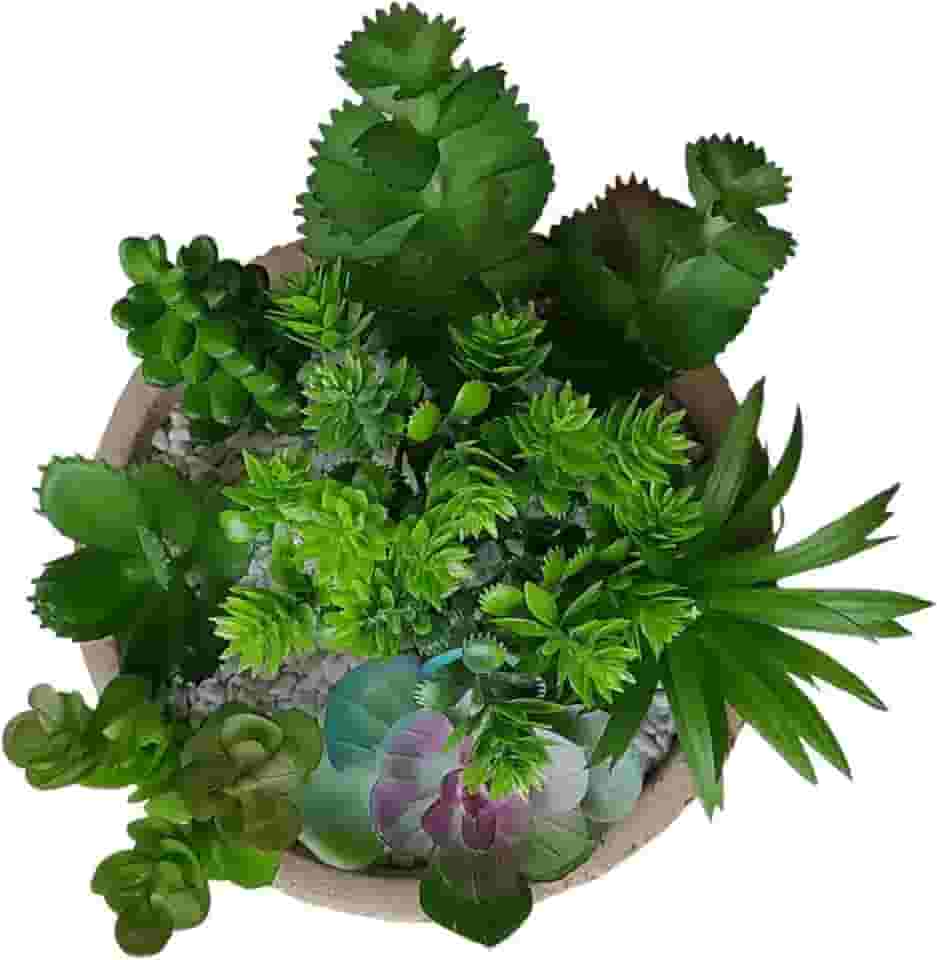 Kit 8 mini suculenta artificial para arranjo e decoração Coloridas e diferenciadas - Loja Sensorial (VERDE1)
