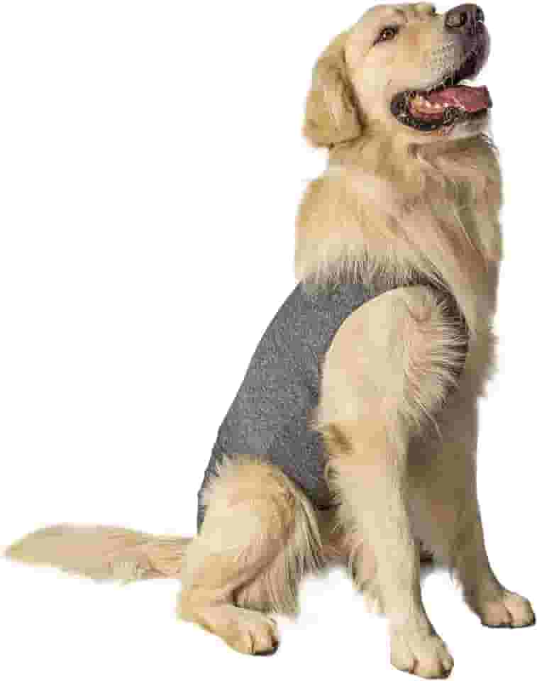Roupa pós-cirúrgica unissex para cães - Tam 09 - peso 18 kg a 20kg - Pet Designer