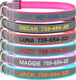 Coleira refletiva personalizada, coleira para animais de estimação bordada personalizada com nome e número de telefone ajustáveis para cães PP, pequenos, médios e grandes