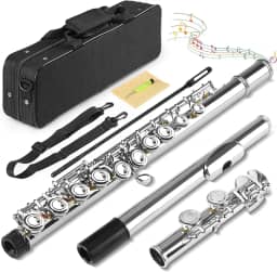 16 Furos C Flauta Chave Fechada, Kit Flauta Transversal Prateada Dó, Flauta Transversal Niquelada 16 Chaves, Flauta de Furo Fechado Banhado a Níquel, Orifício Fechado C 16 Instrumento de Flauta