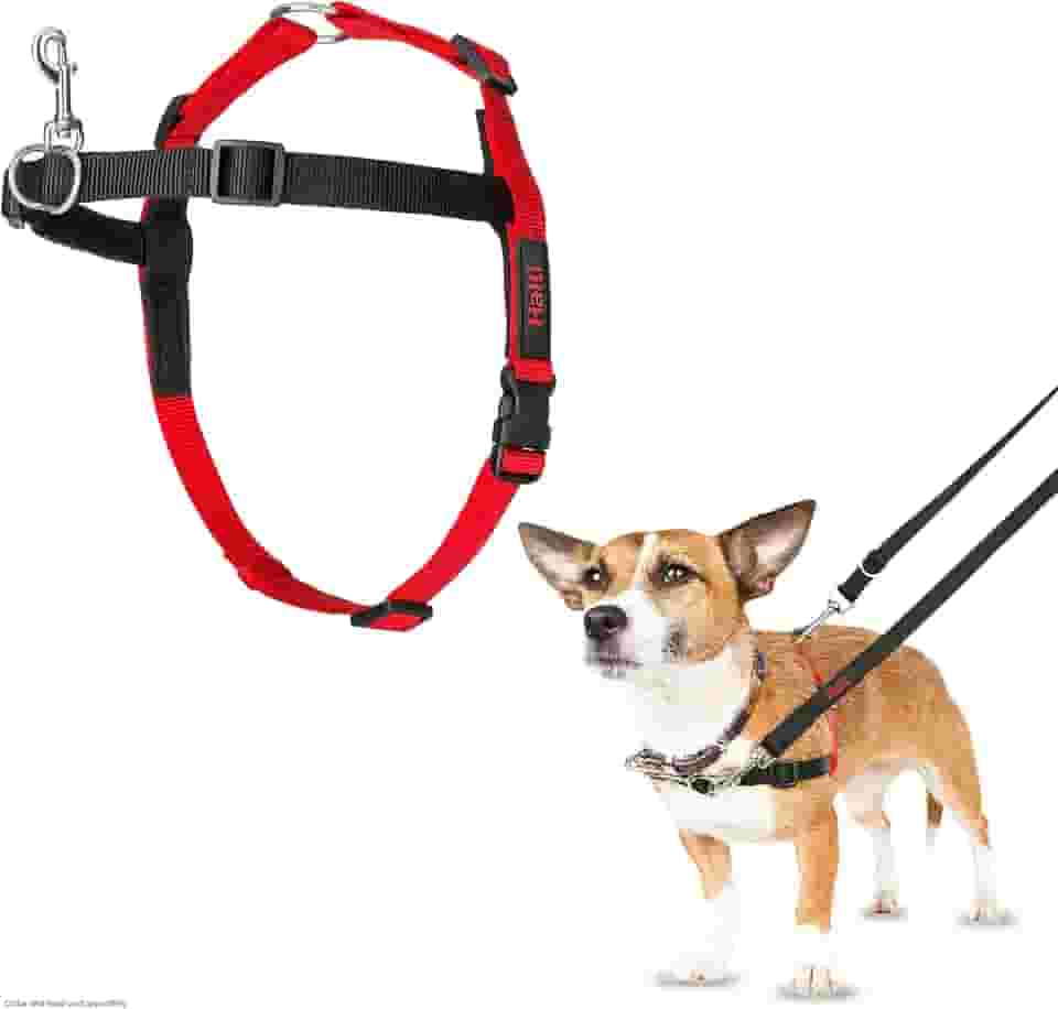 Peitoral de controle frontal HALTI - para impedir que seu cão puxe a coleira. Ajustável, leve e fácil de usar. Arnês de treinamento para cães pequenos (tamanho P)