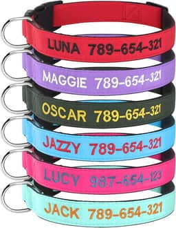 Kuley Coleira de Cachorro Personalizada, Bordada com Nome e Número de Telefone para Cães Extra-pequenos Pequenos Médios Grandes