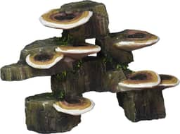 Penn-Plax Deco-réplicas tronco de árvore com prateleira cogumelos decoração de aquário – seguro para aquários de água doce e salgada – pequeno