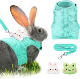 Conjunto de arnês e coleira de coelho com 2 decorações fofas de malha respirável e fivela ajustável macia para coelhos, furão, porco, cachorrinho, suprimentos para caminhada (verde, padrão