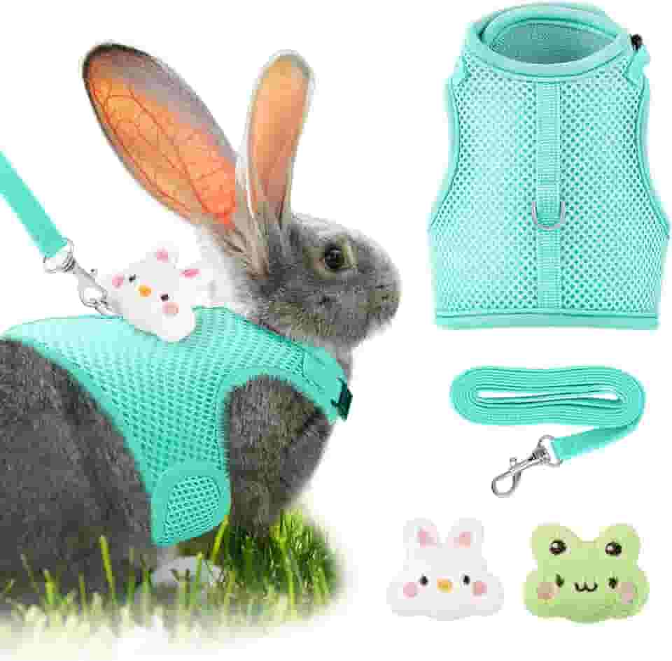 Conjunto de arnês e coleira de coelho com 2 decorações fofas de malha respirável e fivela ajustável macia para coelhos, furão, porco, cachorrinho, suprimentos para caminhada (verde, padrão