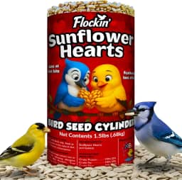 100% corações de girassol para pássaros – Cilindros de semente de pássaro premium com furo – semente de pássaro de girassol descascado – Atrai cardeais, gaios azuis, pintassilgos e chickadee – sem