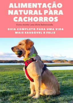 Alimentação Natural para Cachorros: Guia Completo para uma Vida Mais Saudável e Feliz